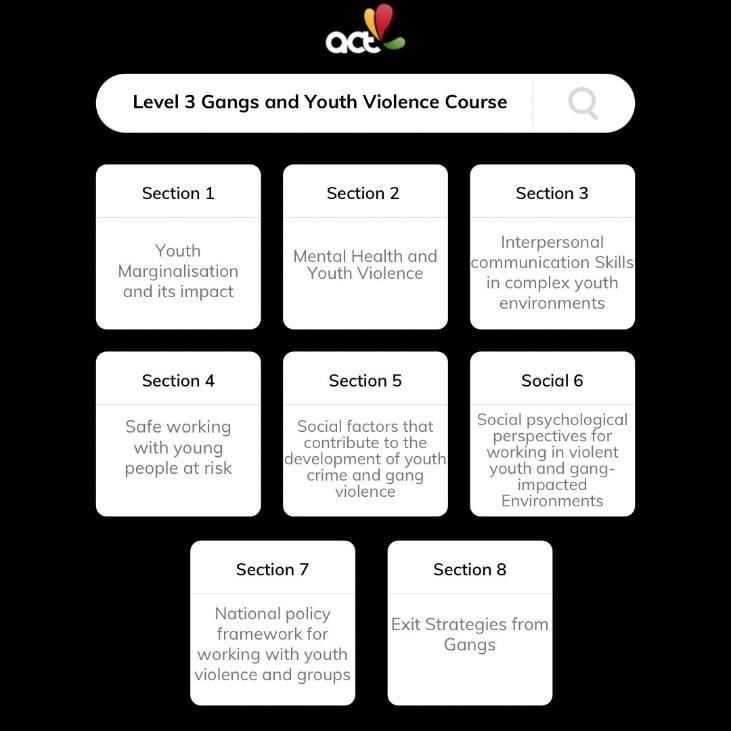 You are currently viewing 8 Things You Need to Know Before Becoming a Qualified Gangs, Crime, and Youth Violence Specialist